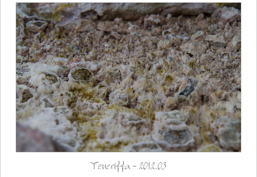 P2012 03 10-12 06 28-2356